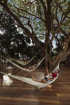 Occidental Grand Xcaret Hotel 5*